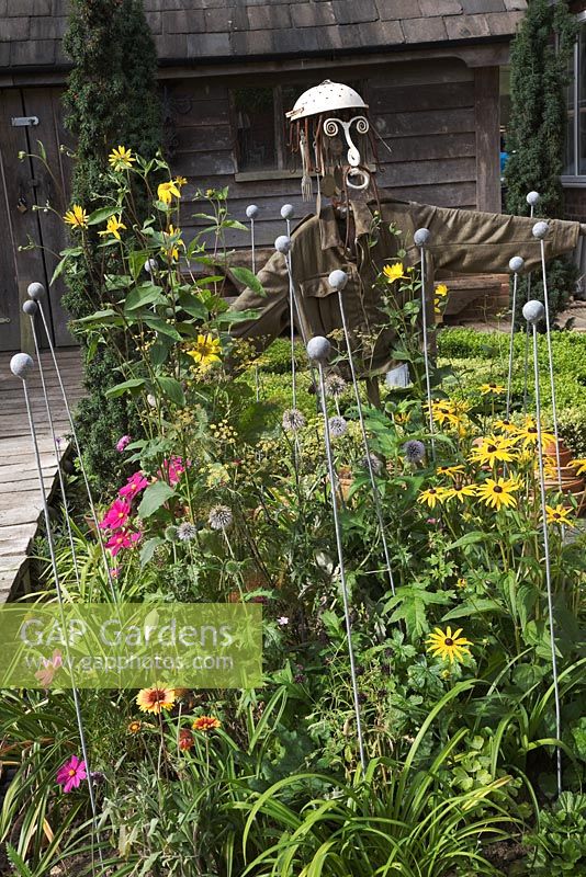 Seaside Inspired garden. The yellow garden with scarecrow made from a colander, cutlery and old pitchfork. Helianthus, Rudbeckia, Echinops, Cosmos and Fennel growing in border. Small Box - Buxus parterre by rustic beach hut and Taxus - Yew columns behind.