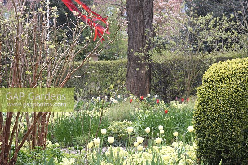 Spring borders with Tulips 'Spring Green' The teagarden is a combination of model garden, garden shop and tearoom in Weesp