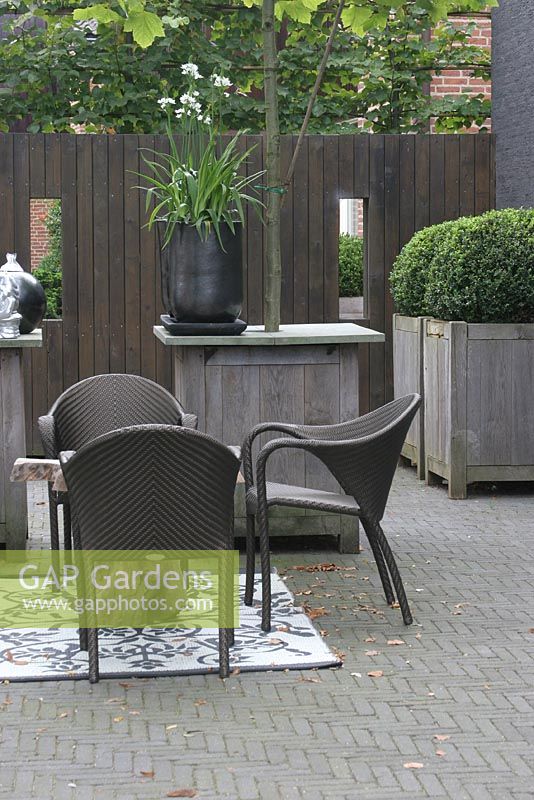 Terrace in summer with Clipped Buxus - Box in large grey planters in front of black painted wall.