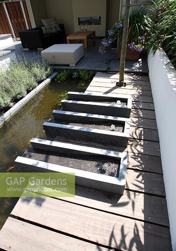 Urban garden in summer with three rectangular water features and large pond. Phyllostachys nigra- Bamboo in raised bed.