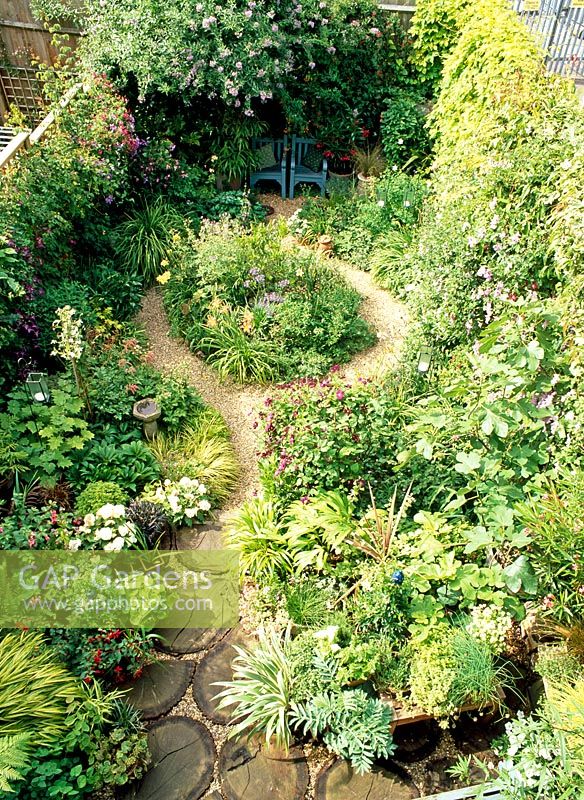 Overview with gravel path curving round an island bed of Hemerocalis 'Sammy Russell', Iris sibirica 'Sky Wings', Clematis 'Etoile Violette', Solanum Jasminoides, and painted blue chairs under  Eccremocarpus Scaber. Stepping stones made from log slices, pots of Fuchsias 
