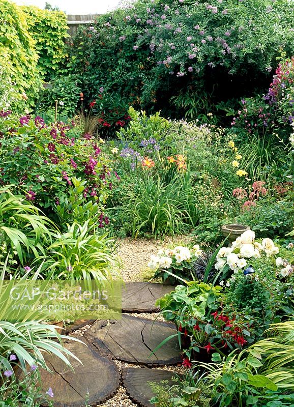 Stepping stones made from log slices with pots of fuchsias with gravel path curving round an island bed of Hemerocalis 'Sammy Russell', Iris sibirica 'Sky Wings', Clematis 'Etoile Violette' and Solanum Jasminoides