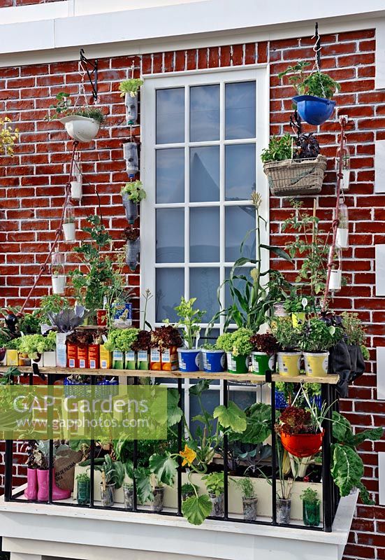 Recycled containers on Balcony , Reclaimed packaging and containers used as pots,  Hampton COurt Flower Show 2009