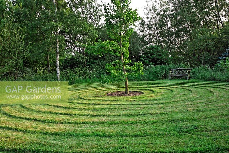 Spiral lawn maze with central Ginkgo biloba tree set in woodland