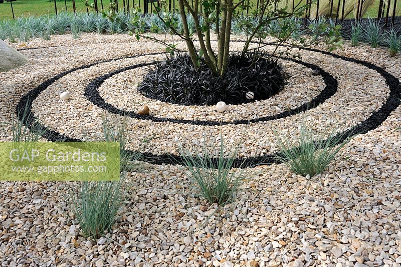 Spiral of crushed black basalt in gravel garden with Ophiophogon in the centre - RHS Tatton park flower show