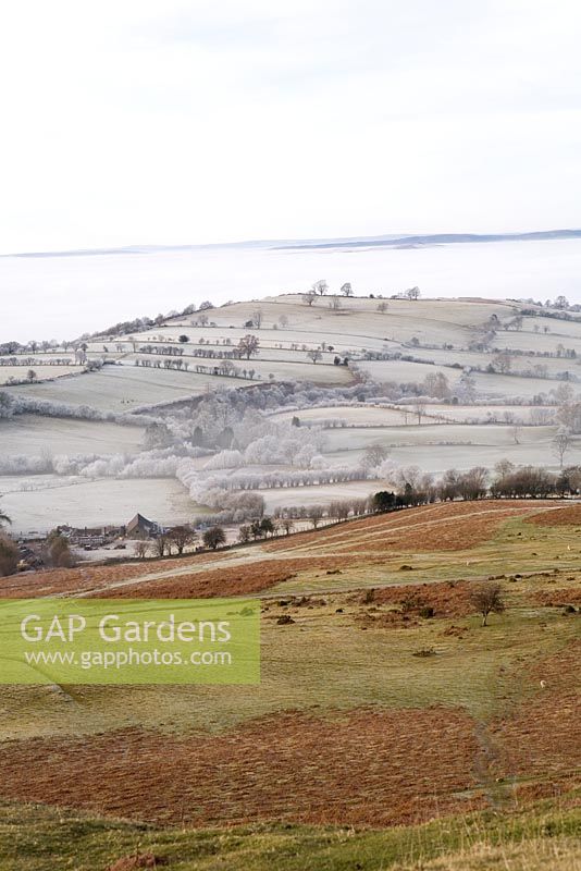 Frosted farmland in low lying cloud, looking towards the Brecon Beacons