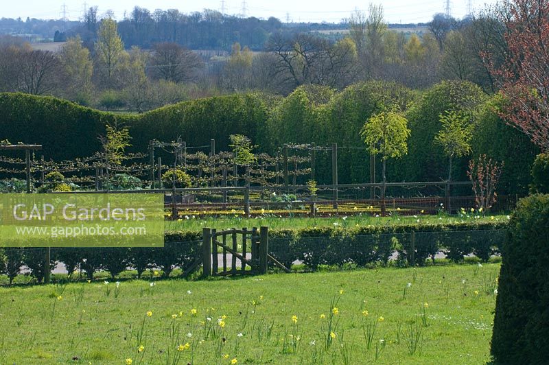 View over meadow to vegetable garden.
Blakenham Woodland Garden Suffolk. NGS. April