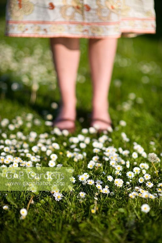 Woman wearing skirt and sandals standing on a lawn with Daisies in summer sunshine