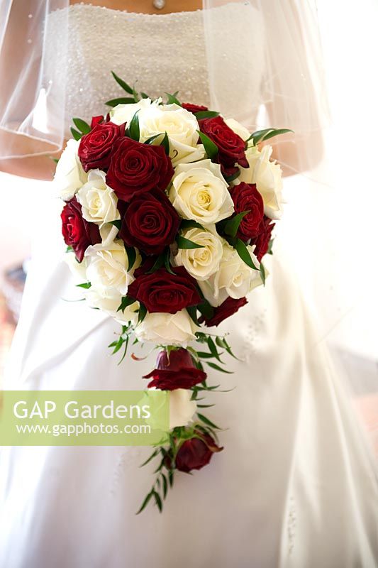 Bride holding a bouquet of red and white Roses