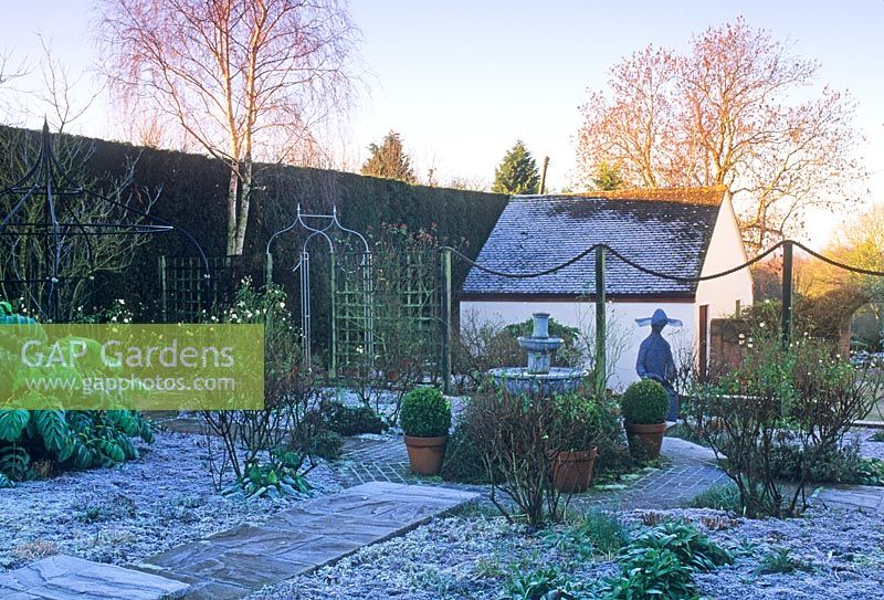 Frosty winter garden with Yorkstone path, Clipped Buxus - Box in pots, Betula - Birch tree and water feature.
Wol and Sue Staines, Glen Chantry Wickham Bishops, Essex. Early January