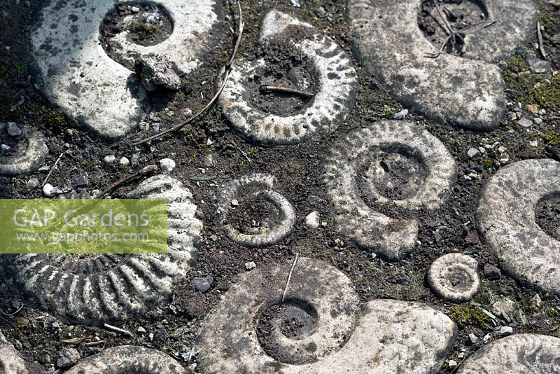 Fossil path at Cooper's Millennium Garden