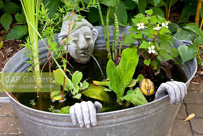 Small pond in recycled galvanised bath