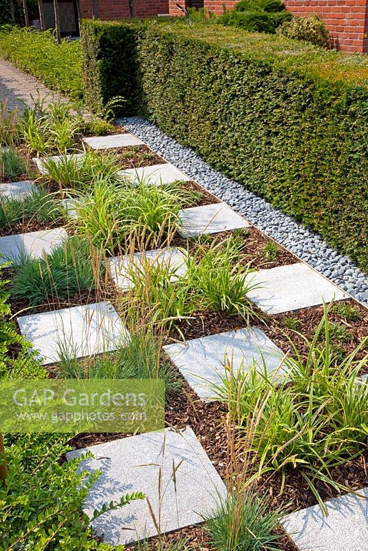 Paving slabs placed in border with Carex morrowii and Festuca glauca