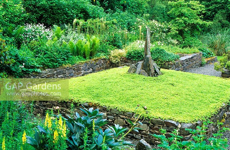 Sedum bed in the White Garden at  The Lower Garden, Cae Hir Garden, Cribyn, Ceredigion. June.
