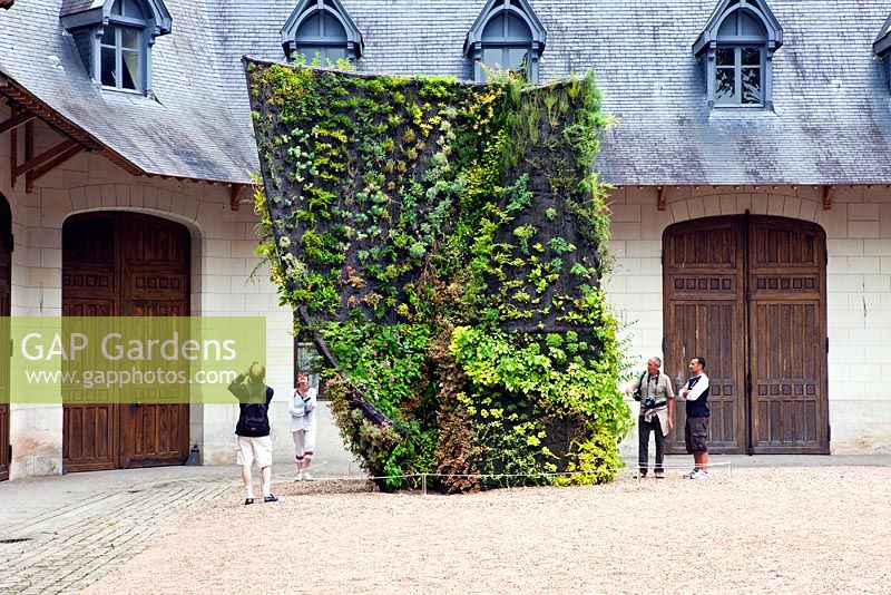Vertical planting in the shape of a leaf curling in on itself. Exhibited at the 2009 International Gardens Festival, Chaumont-Sur-Loire, France 