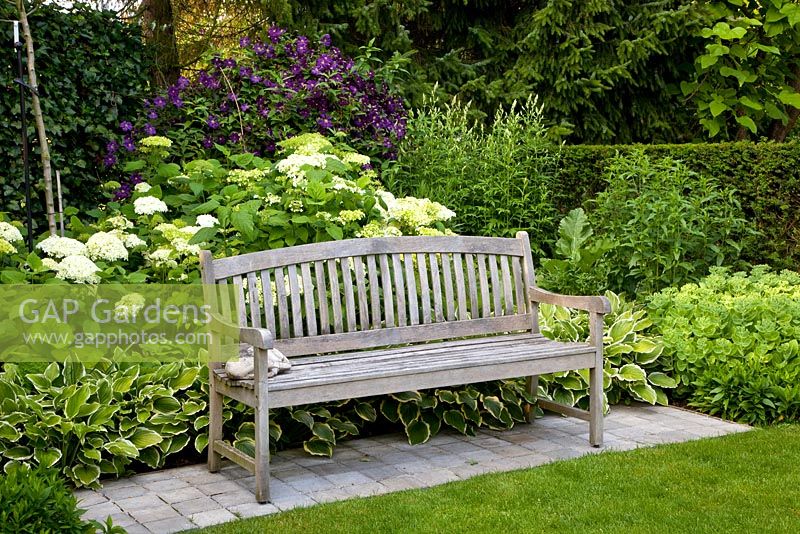 Wooden bench backed by a border of Hosta, Hydrangea arborescens 'Annabelle' and Clematis viticella 'Etoile Violette' 
