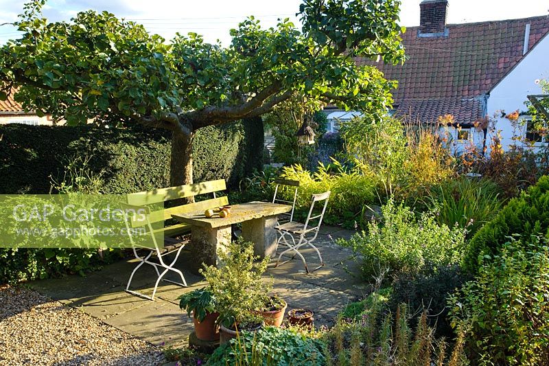 Stone table and garden seating under old Apple tree