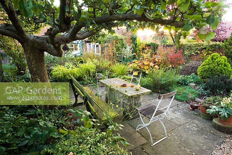 Stone table and garden seating under old apple tree with Yorkstone paving