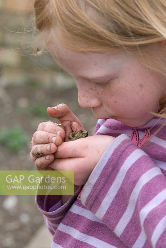 Young girl holding a common frog 