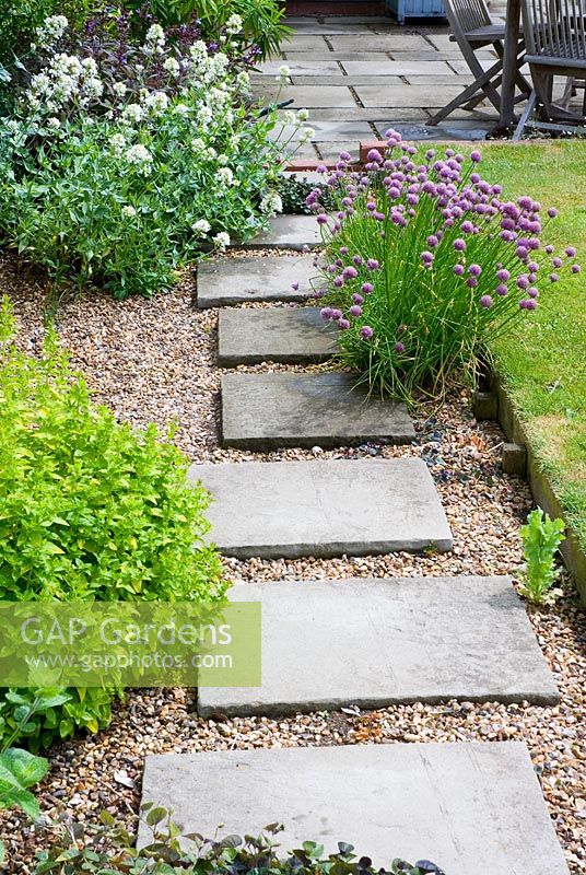 Stepping stones in gravel with herbs