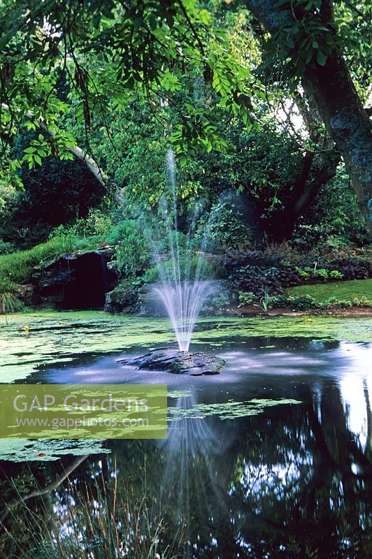 Fountain in the Duck Pond - Dewstow Garden and Grottoes, Caewent, Monmouthshire, Wales