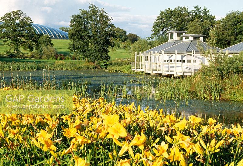 View to Hyder Aqualab with yellow Hemerocallis - Daylillies in foreground. The National Botanic Garden of Wales