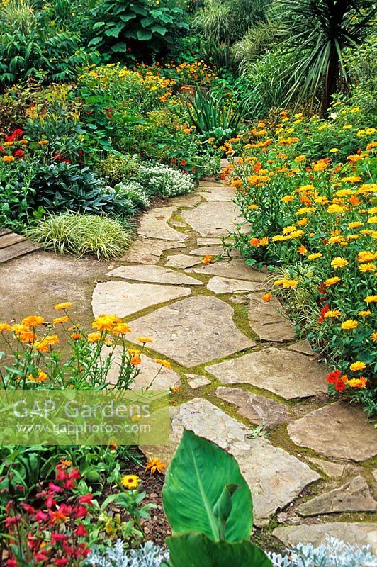 Crazy paving path bordered with Calendula 'Orange King' - Dewstow Garden and Grottoes, Caewent, Monmouthshire, wales