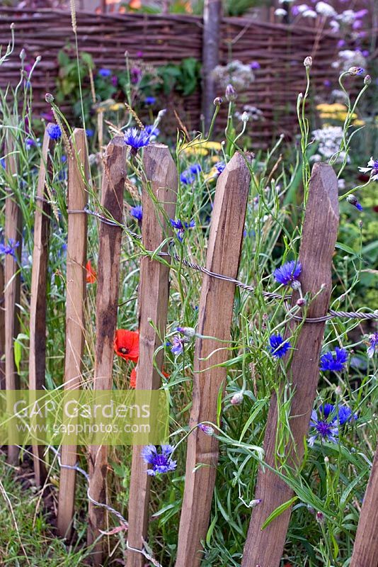 'Learning to Look after our World', Alton Infant School - RHS Hampton Court Flower Show 2007