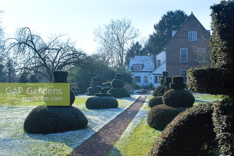 Yew topiary chess pieces with view towards house on frosty morning - The Manor, Hemingford Grey