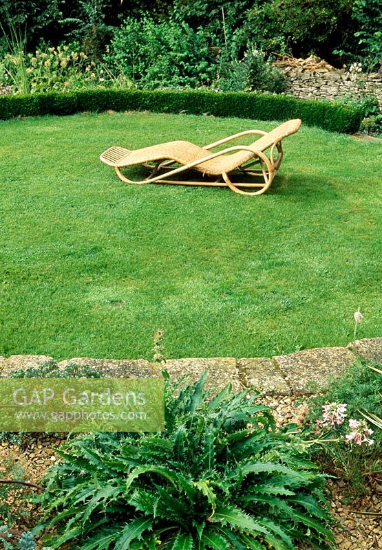 Seat on circular lawn with Morina langifolia in foreground