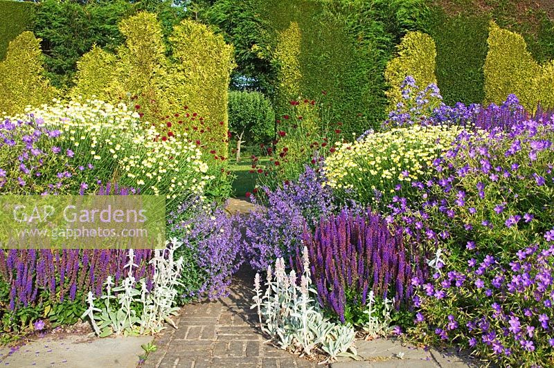 The herbaceous long border with an arch in the tapestry hedge - Town Place Garden, Sussex
 
