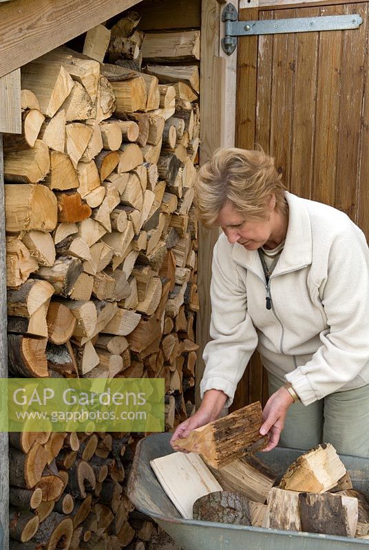 Woman storing firewood for winter fuel