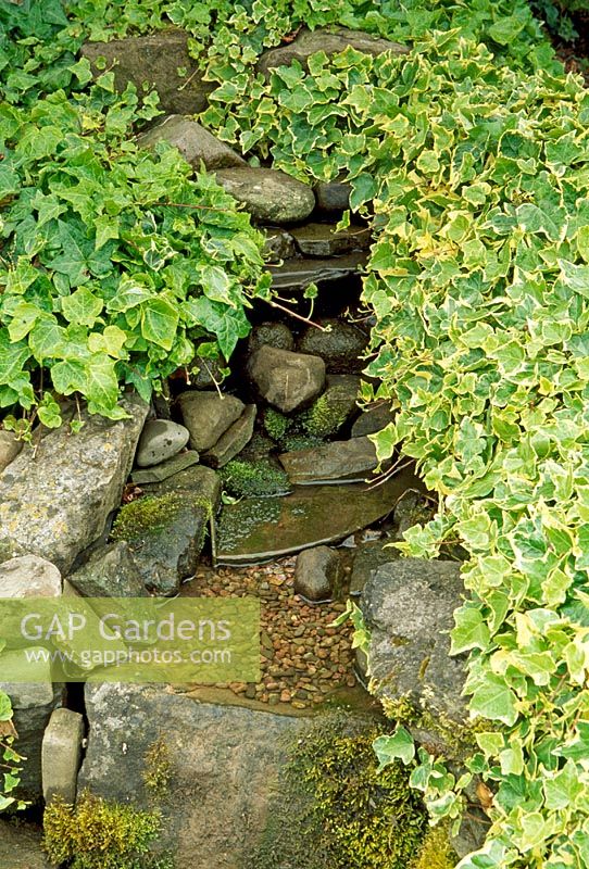 Detail of ornamental pond in lawn by house. Darkley Gardens, Herefordshire