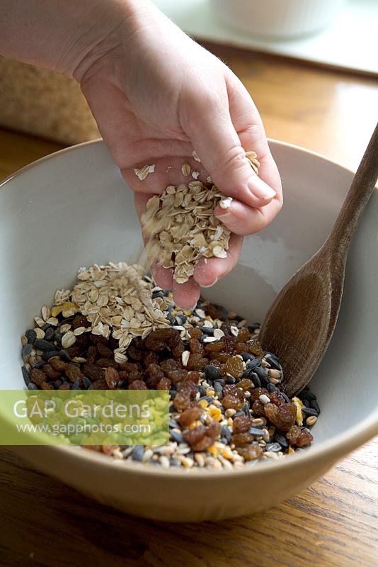 Adding oats to a mixing bowl of ingredients to make seed cakes for wild birds
