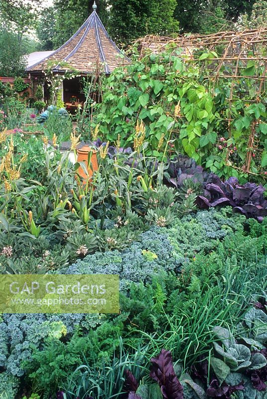 Vegetable garden with kales, cabbages, beans, sweetcorn, carrots and onions - RHS Chelsea Flower Show 1995