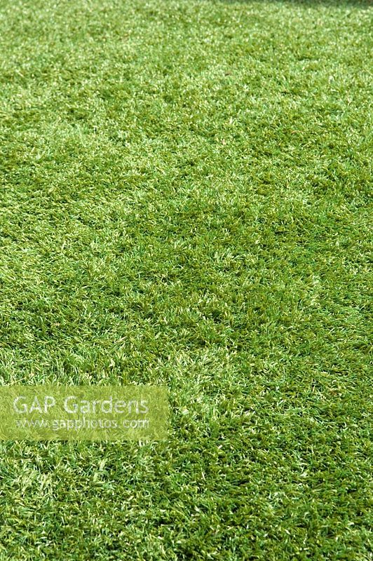 Astro turf lawn 