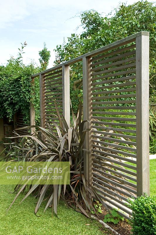 Contemporary urban garden with wooden screen and plantings of Phormium - London