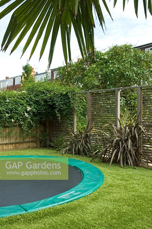 Contemporary urban garden with trampoline, wooden screening and plantings of Phormium - London