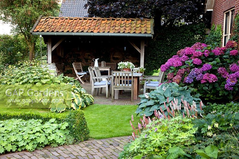 Suburban garden with wooden seats on patio. Hydrangea macrophylla, Hosta 'Frances Williams', Hosta 'Halcyon', Kirengeshoma palmata