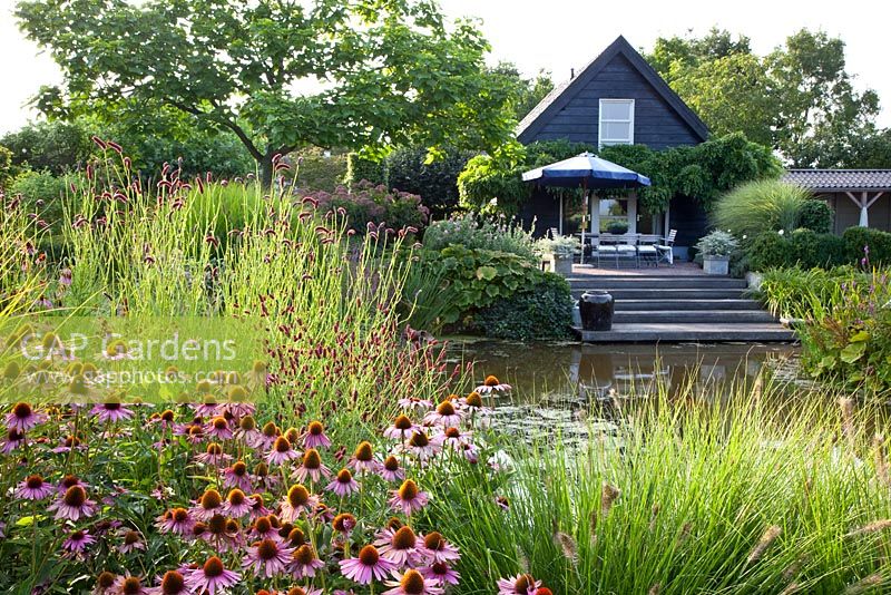Large pond and steps up to decked patio. Echinacea purpurea, Sanguisorba in foreground