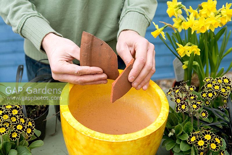 Planting a Spring continer with Narcissus and Primula auricula - Adding brokem pieces of terracotta for drainage
