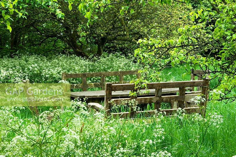 Meadow area of county garden with Anthriscus sylvestris - Cow Parsley and seating area. Pollards Cross, Steeple Bumpstead, Essex