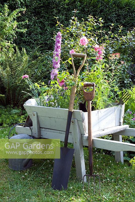 Vintage wooden wheelbarrow with summer flowers ready to plant. Delphinium, Rosa - Roses, Penstemon, Dianthus, Lavandula - Lavender, Nemesia