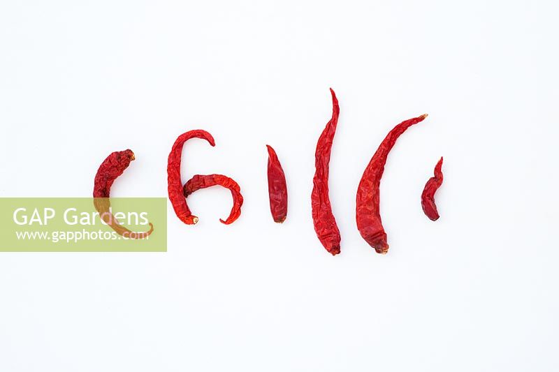 Capsicum - Dried red chillis spelling chilli on white background