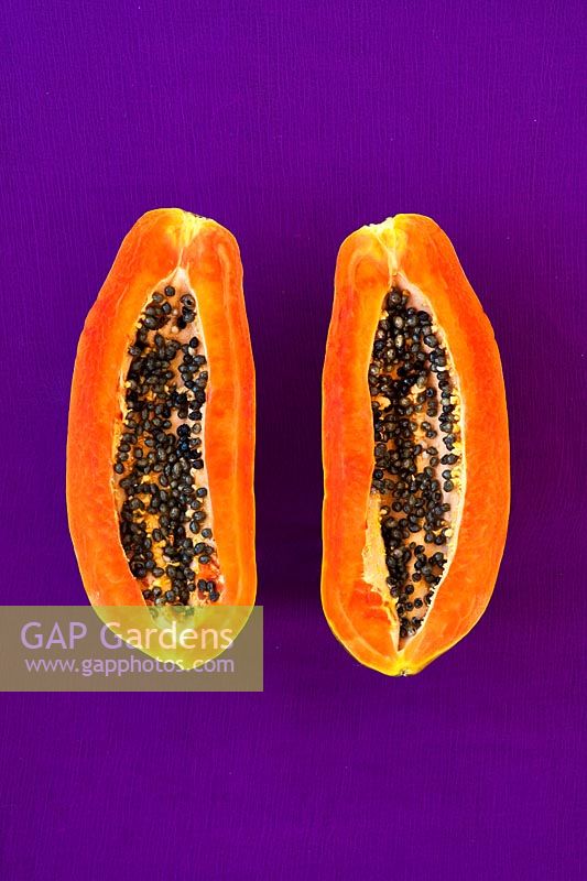 Carica papaya - Papaya fruit cut in half with seeds