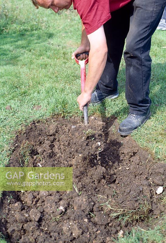 Step by step. Building a pond with a rigid liner. Step 5. Dig out the shape of the pond, measure the depth and width of each shelf, allowing for a 1 inch ayer of sharp sand on the horizontal surfaces