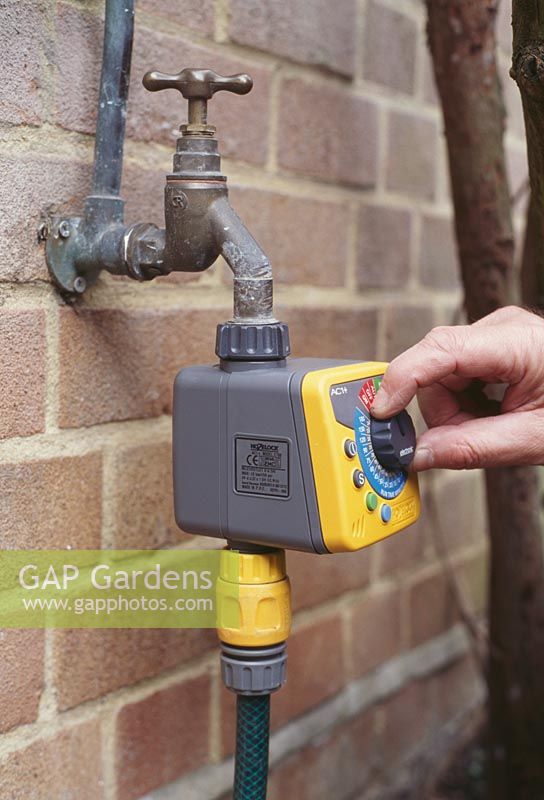 Timers and flow-regulators can be fitted between the tap and hosepipe, so plants can be watered automatically, even if you're not at home. Always test first before you rely on it.