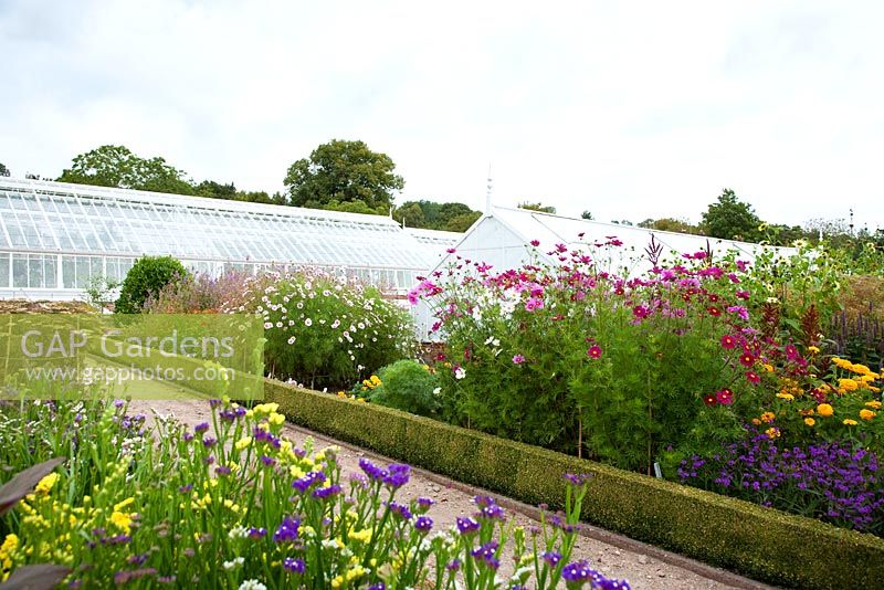Glasshouses and flowerbeds at West Dean