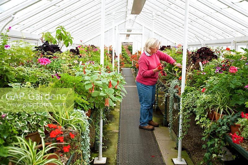 Sarah Wain, the garden manager, in the glasshouse at West Dean