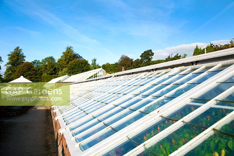 Glasshouses and coldframes at West Dean